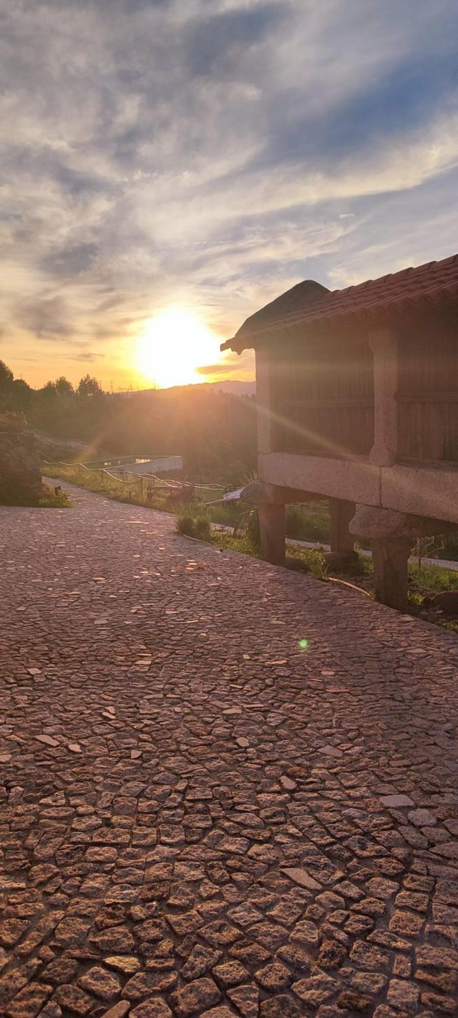 Quinta Da Riba Ma Pensionat Santa Leocadia Eksteriør billede